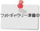 tHgM[